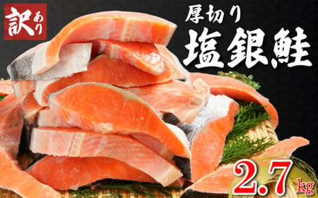 訳あり 厚切 銀鮭 切り身 約2.7kg 定塩 冷凍 人気 切身 厚切り 厚切り鮭 肉 厚 シルバーサーモン 塩銀鮭 塩鮭 魚 1切れ 120g 海鮮 おかず シャケ おつまみ 弁当 塩 魚介 惣菜 大容量 不揃い 規格外 食品 冷凍食品 グルメ 贈答 贈り物 プレゼント ギフト 長期保存 小分け お取り寄せ ふるさと納税