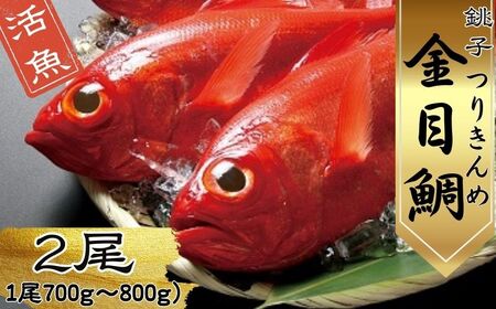 生 キンメダイ 2尾 (1尾700g〜800g) 金目鯛 銚子 新鮮 銚子港水揚げ つりきんめ キンメ 釣り きんめ キンメダイ きんめだい おさしみ 刺し身 煮つけ 海鮮料理 お祝い お祝い膳 お食い初め 千葉県 銚子市 網中昭商店