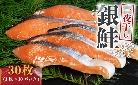 銀鮭 一夜干し 30枚 (10パック×3枚) 干物 ひもの さけ 鮭 魚 海鮮 おかず 酒 のあて おつまみ 弁当 塩 魚介 惣菜 食品 冷凍食品 グルメ 贈答 贈り物 プレゼント ギフト お取り寄せ ふるさと納税 送料無料 千葉県 銚子市 株式会社甲印小西商店