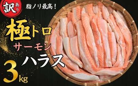 訳あり トロ サーモン ハラス 約3kg (約1kg×3) アトランティックサーモン サーモンハラス トロ 鮭 さけ しゃけ 規格外 小分け 個別冷凍 冷凍 真空 真空パック お弁当 惣菜 おかず 塩焼き 長期保存 鮮度 旨味 お取り寄せ グルメ 食品 魚 魚貝 大容量 ギフト 贈物 贈り物 プレゼント 海鮮 ふるさと納税 ふるさと納税 千葉県 銚子市 荒野商店