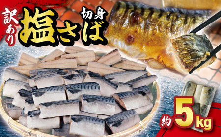 訳あり 塩サバ切身 約5kg [ 鯖 ] 大一奈村