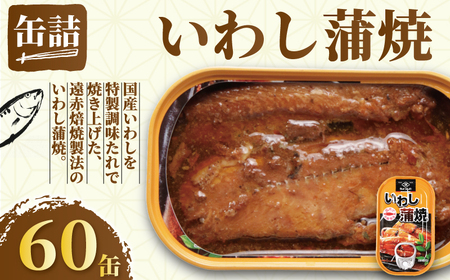 [国産] いわし蒲焼 60缶 イワシ 鰯