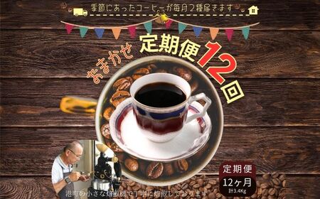 コーヒー 定期便 12回 計約3.4kg 粉 自家焙煎 定期便12ヶ月 千葉県 銚子市 ティピカ