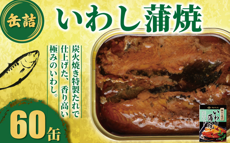 いわし蒲焼 60缶 イワシ 鰯