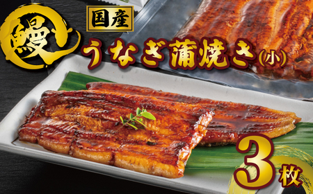 国産うなぎ蒲焼き タレ・山椒付き 3枚 約90g×3 鰻 鰻 鰻 鰻 鰻 石毛川魚店