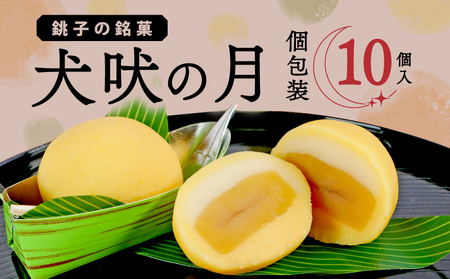 犬吠の月 10個 銘菓 銘菓 銘菓 銘菓 銘菓 たか倉