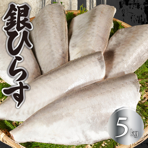 銀ひらす 5kg 白身魚 白身魚 白身魚 白身魚 白身魚 エドノフーズ