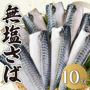 無塩さば 10枚 さば さば さば さば さば エドノフーズ