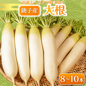 [先行予約] 大根 8〜10本 大根 大根 大根 大根 大根 小野商店