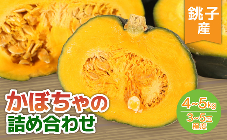 かぼちゃ 詰め合わせ 約3~5玉 カボチャ カボチャ カボチャ カボチャ カボチャ カボチャ