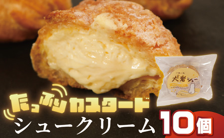 シュークリーム 10個 冷凍 シュークリーム シュークリーム シュークリーム シュークリーム シュークリーム ル・ノワ