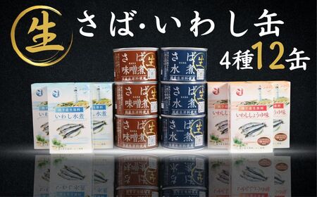 缶詰 国産さば いわし 12個 缶詰
