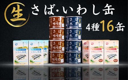 缶詰 国産さば いわし 16個 缶詰