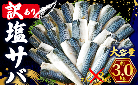 訳あり 塩さば フィレ 約3kg 期間限定 増量 中 鯖鯖鯖鯖鯖