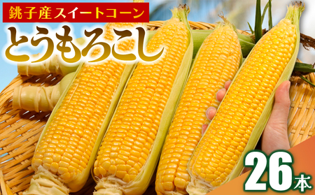 Ƃ낱 26{ Ƃ낱 ys\z