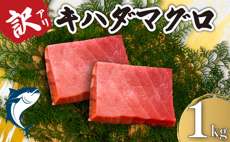 訳あり キハダマグロ 約1kg まぐろ まぐろ まぐろ まぐろ まぐろ カネ八商店