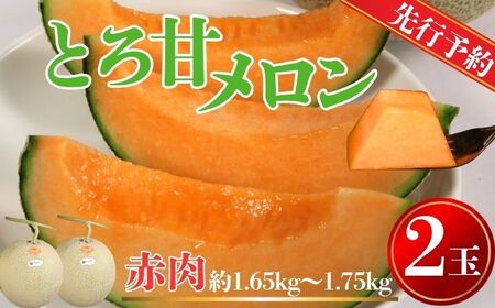 赤肉とろ甘メロン 2玉 [先行予約7月上旬〜発送] メロン