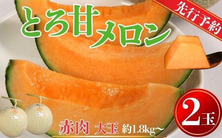 赤肉とろ甘メロン(大) 2玉 [先行予約7月上旬〜発送] メロン