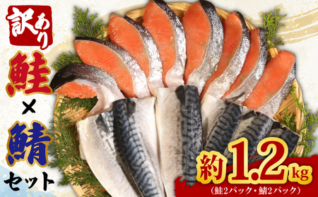 [訳あり]鮭・鯖セット約1.2kg 鮭×鯖 辻野 千葉県銚子