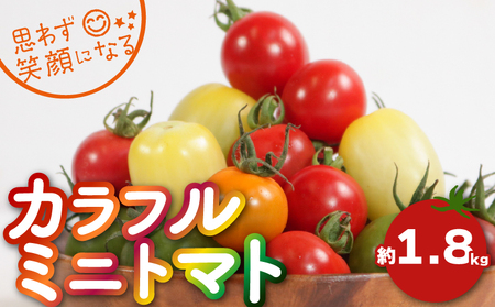 [先行予約]カラフルミニトマト 約1.8kg トマト