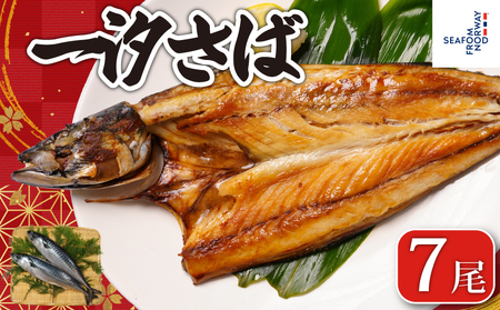 一汐さば 7尾 さば 鯖