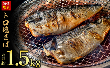 訳あり トロ 塩鯖 約1.5kg 鯖