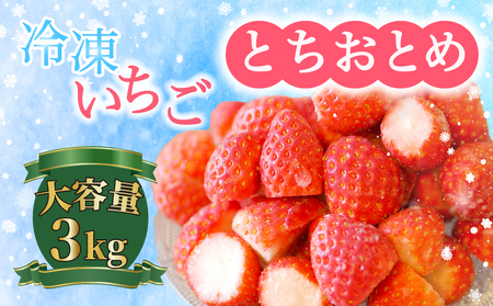 冷凍イチゴ 3kg (1kg × 3 )とちおとめ いちご 苺