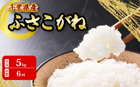千葉県産 こしひかり 5kg 6ヶ月 定期便 米