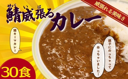 銚電 鯖威張るカレー 30食 レトルトカレー 銚子電気鉄道