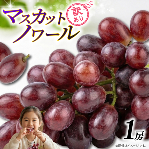 訳あり マスカットノワール 1房 450g 以上 数量限定 種なし