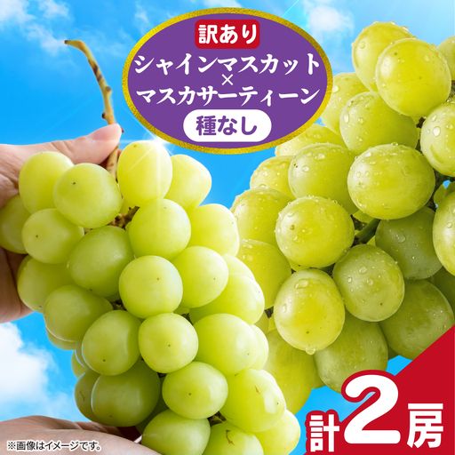 訳あり シャインマスカット × マスカサーティーン ( 種なし ) 1房 450g 以上