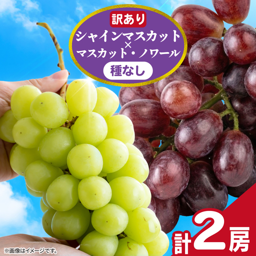 訳あり シャインマスカット × マスカット・ノワール ( 種なし ) 1房 450g 以上