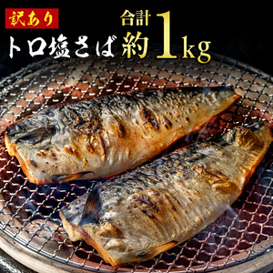 訳あり トロ 塩鯖 1kg