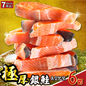 [スピード配送] 極厚 銀さけ 真空包装 6切 ( 2切入 × 3パック )