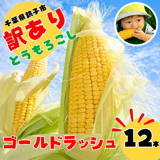 先行予約 訳あり とうもろこし 12本 銚子産とうもろこし ゴールドラッシュ