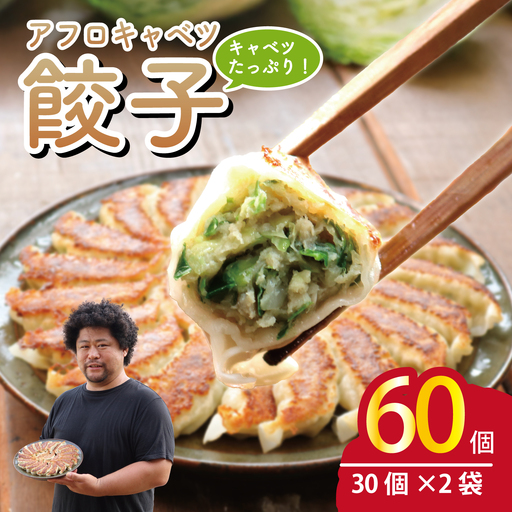 餃子 きゃべつ餃子 60個