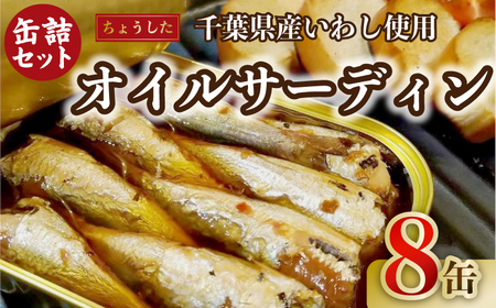 イワシ オイルサーディン 8個 いわし 鰯