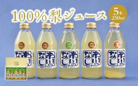 ʏ`POOW[X@250ml×5{Zbg@y12203-0050z