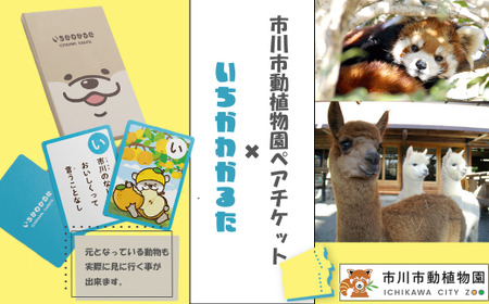 いちかわかるた&市川市動植物園ペアチケット [12203-0196]