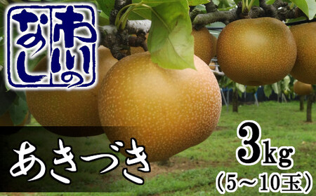 s̗@Â@3kgi5`10j@y12203-0085z