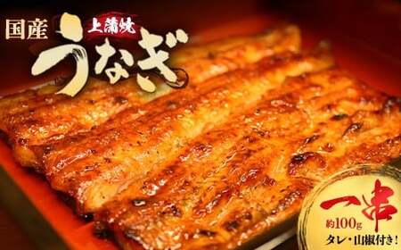 うなぎ上蒲焼1串(100g前後)[老舗 ギフト 冷凍 うなぎ 鰻 ウナギ かばやき 串 タレ 山椒 千葉県 市川市][12203-0296]