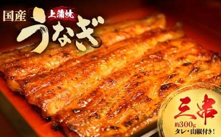 Ȃ㊗3(e100gO)yV Mtg Ⓚ Ȃ V EiM ΂₫  ^ R t sszy12203-0300z