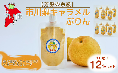 yF̗]Czs엜LՂ12Zbg@y12203-0339z