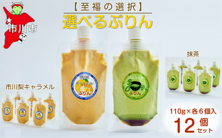 [至福の選択]選べる12個セット(市川梨キャラメル×抹茶)ぷりん [12203-0348]