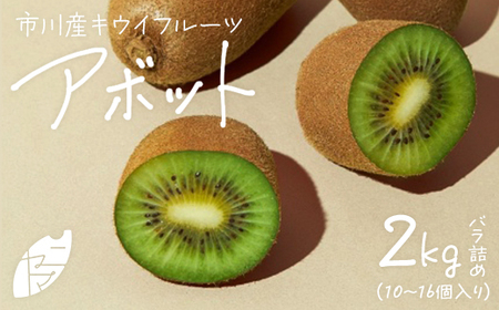 市川産キウイフルーツ(アボット)バラ詰め[12203-0401]果物 くだもの フルーツ キウイ アボット 甘い 市川市 12月発送