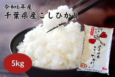 [令和6年産]千葉県産こしひかり 5kg