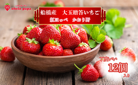  嗱 12 C`S   gق \ s\ st ʌ Ԍ ʕ t[c \ Mtg 