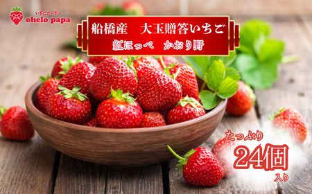 嗱 24 C`S   gق \ s\ st ʌ Ԍ ʕ t[c \ Mtg 