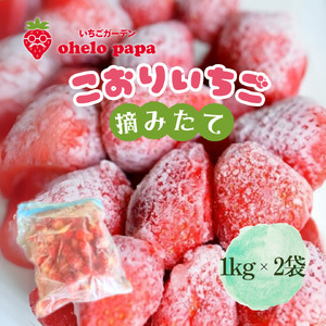 E݂ĕX 2kg Ⓚ  C`S 