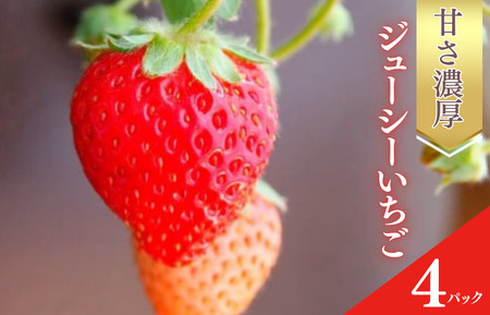 甘さ濃厚 ジューシーいちご4パック 千葉県船橋市産 よつぼし おいCベリー 紅ほっぺ やよいひめ